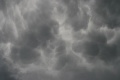 Eifelmammatus0507 029a.jpg